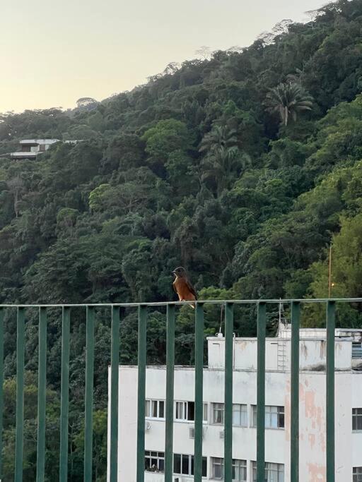 Charmoso No Humaita Apartamento *